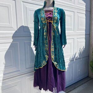 Hocus Pocus Winifred Sanderson Halloween Costume Dress Girl Size Large